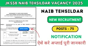 JKSSB Naib Tehsildar Vacancy 2025